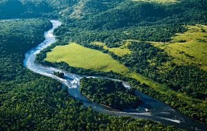 Amazônia. Foto: Reprodução de Internet