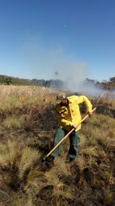 Foco de incêndio na Chapada dos Veadeiros. Foto: Divulgação