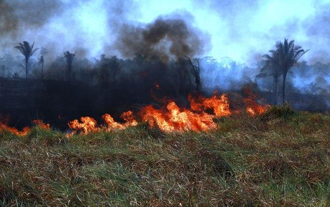 Focos de queimadas aumentam 106% após decreto que proíbe uso do fogo