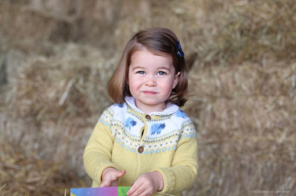 Família real divulga nova foto da princesa Charlotte para comemorar seus 2 anos