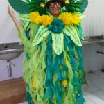 Fantasia da escola de samba Brasil para o Carnaval de 2018. Foto: Divulgação