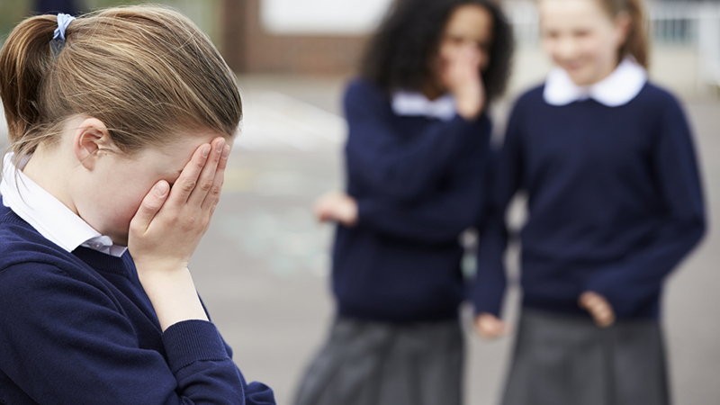 Pesquisa aponta que 29% dos jovens sofreram bullying nas escolas de São Paulo em 2019