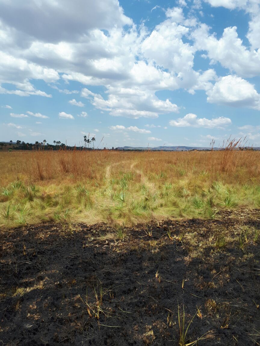 Imagens reforçam tese de incêndio criminoso na Chapada dos Veadeiros