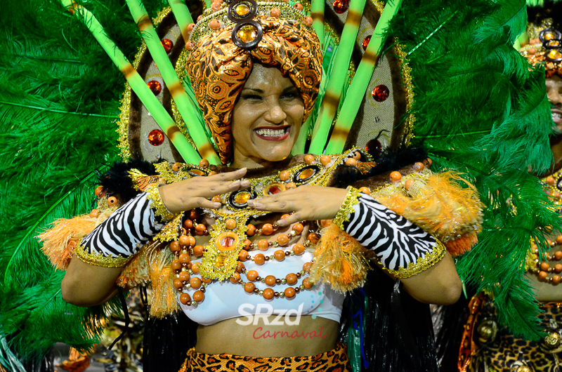 Veja os destaques da primeira noite do Carnaval de São Paulo