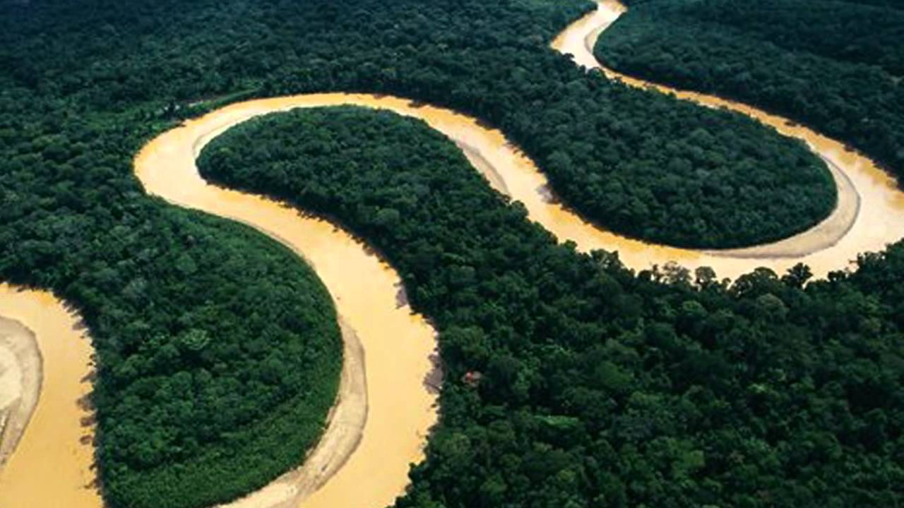 Governo demite chefe de monitoramento do desmatamento na Amazônia