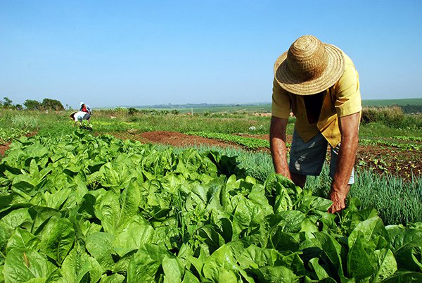 Bolsonaro manda parar reforma agrária e demarcação de terras quilombolas