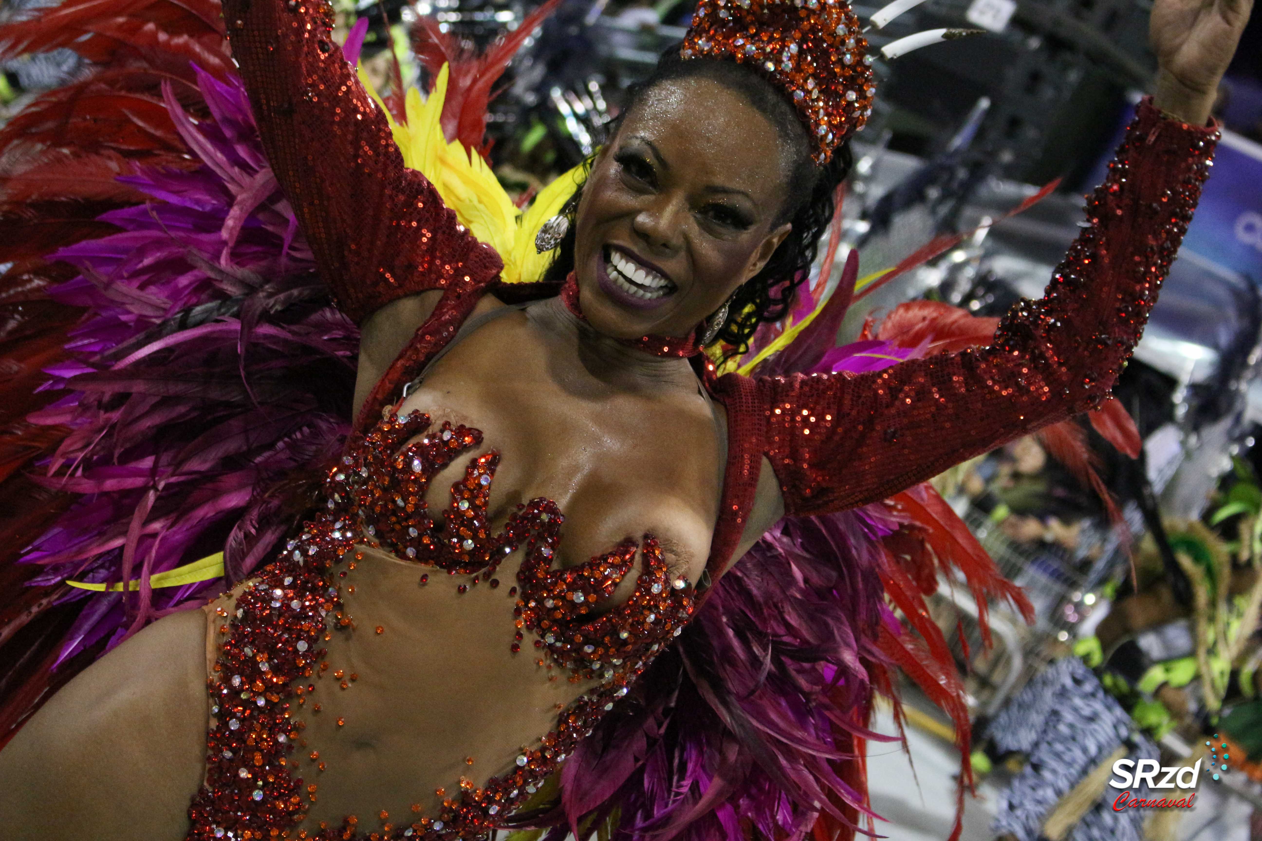 Ubuntu: leia a sinopse do enredo da Unidos do Peruche para o Carnaval 2020