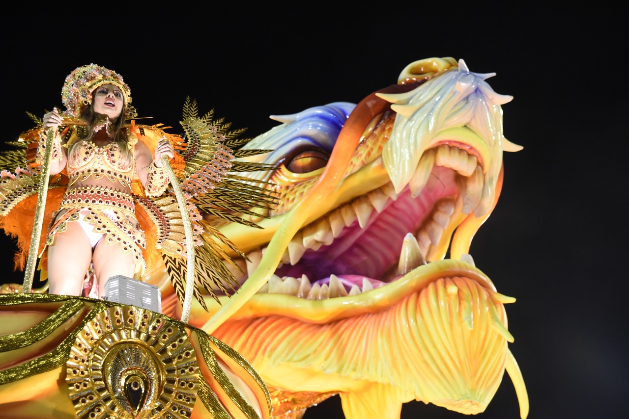 Mocidade 2019: galeria de fotos do desfile das campeãs