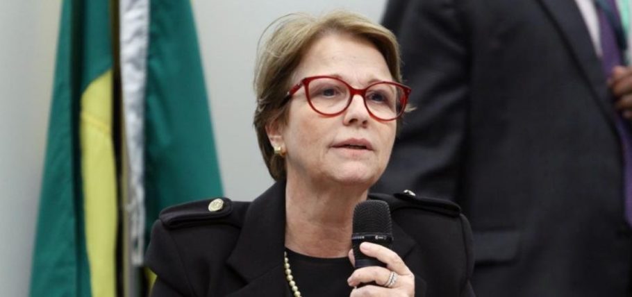 Ministra da Agricultura diz que brasileiro não passa fome ‘porque nós temos manga nas nossas cidades’