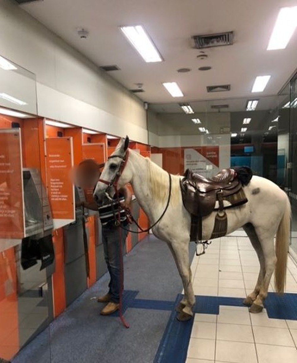 Homem vai sacar dinheiro e leva cavalo para dentro do banco