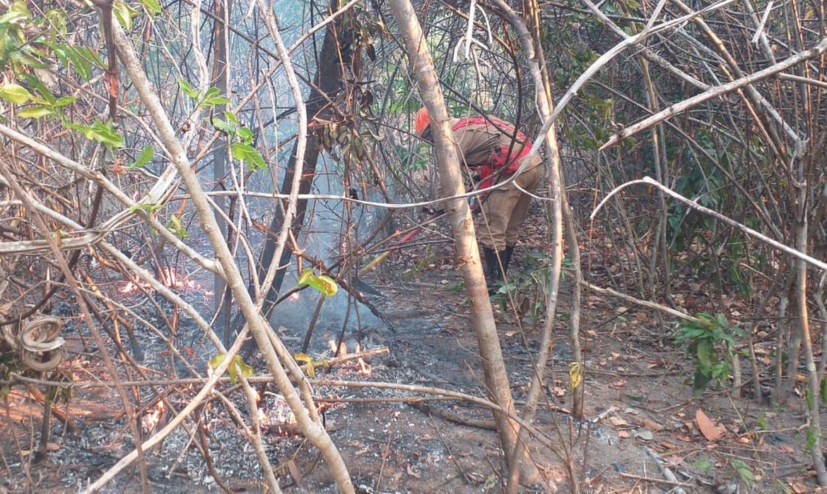 Incêndio na Chapada dos Veadeiros é extinto após cerca de duas semanas