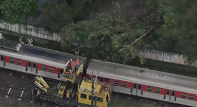 Queda de árvore impede circulação de trens em São Paulo