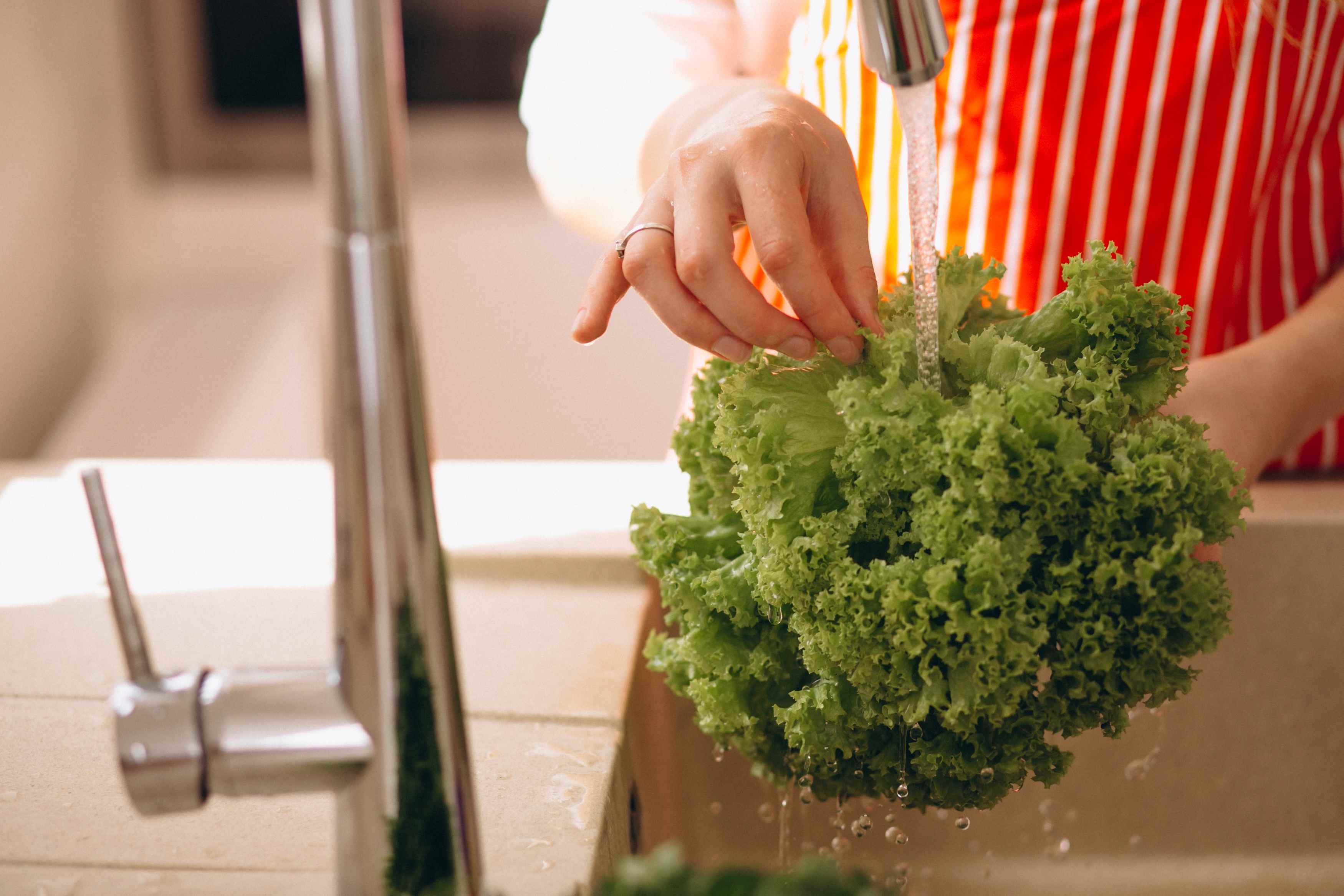 Higienização correta aumenta durabilidade dos alimentos e ajuda a economizar