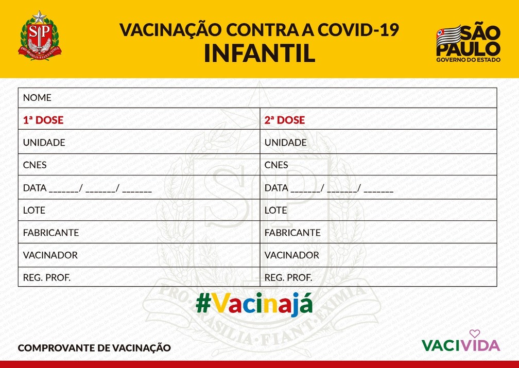 Governo de SP divulga carteirinha de vacinação para crianças