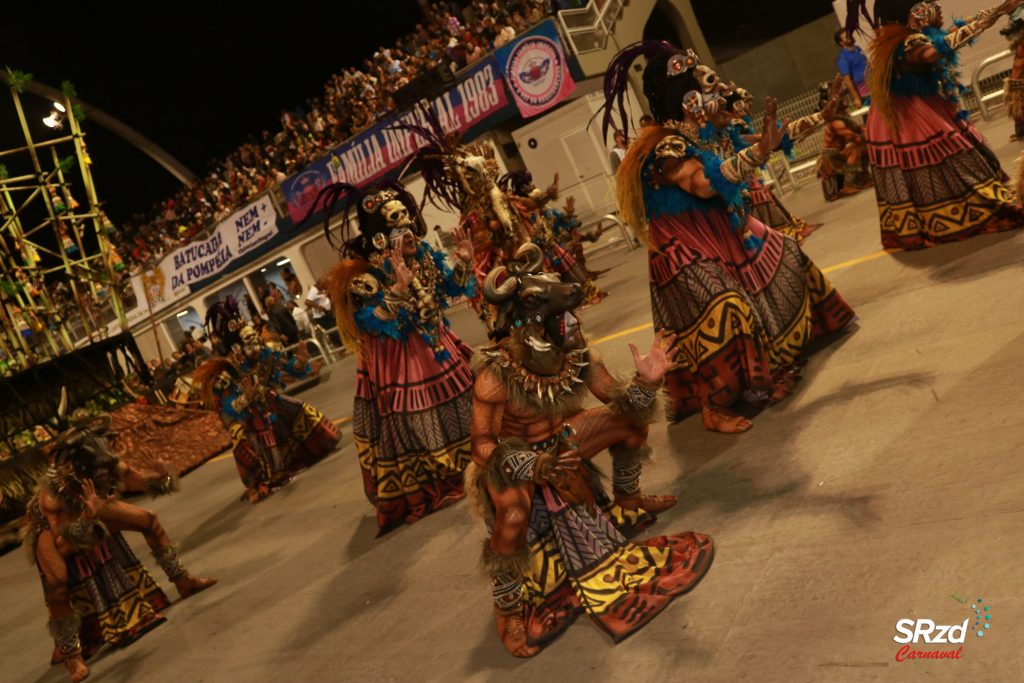 Desfile 2022 da Rosas de Ouro. Foto: Cesar R. Santos/SRzd