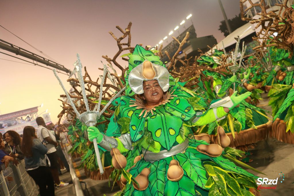 Desfile 2022 da Rosas de Ouro. Foto: Cesar R. Santos/SRzd