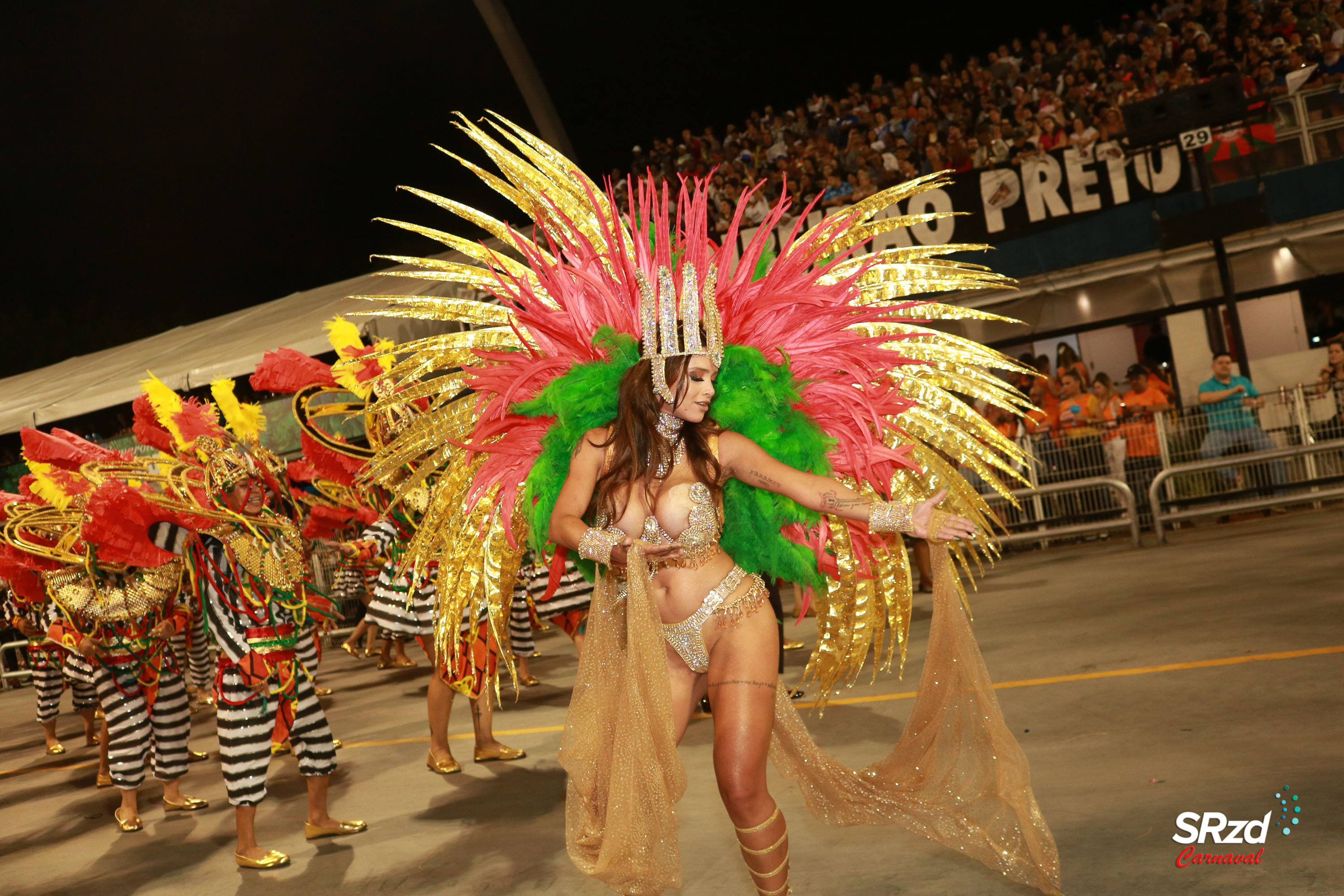 Desfile 2022 da Vai-Vai. Foto: Cesar R. Santos/SRzd