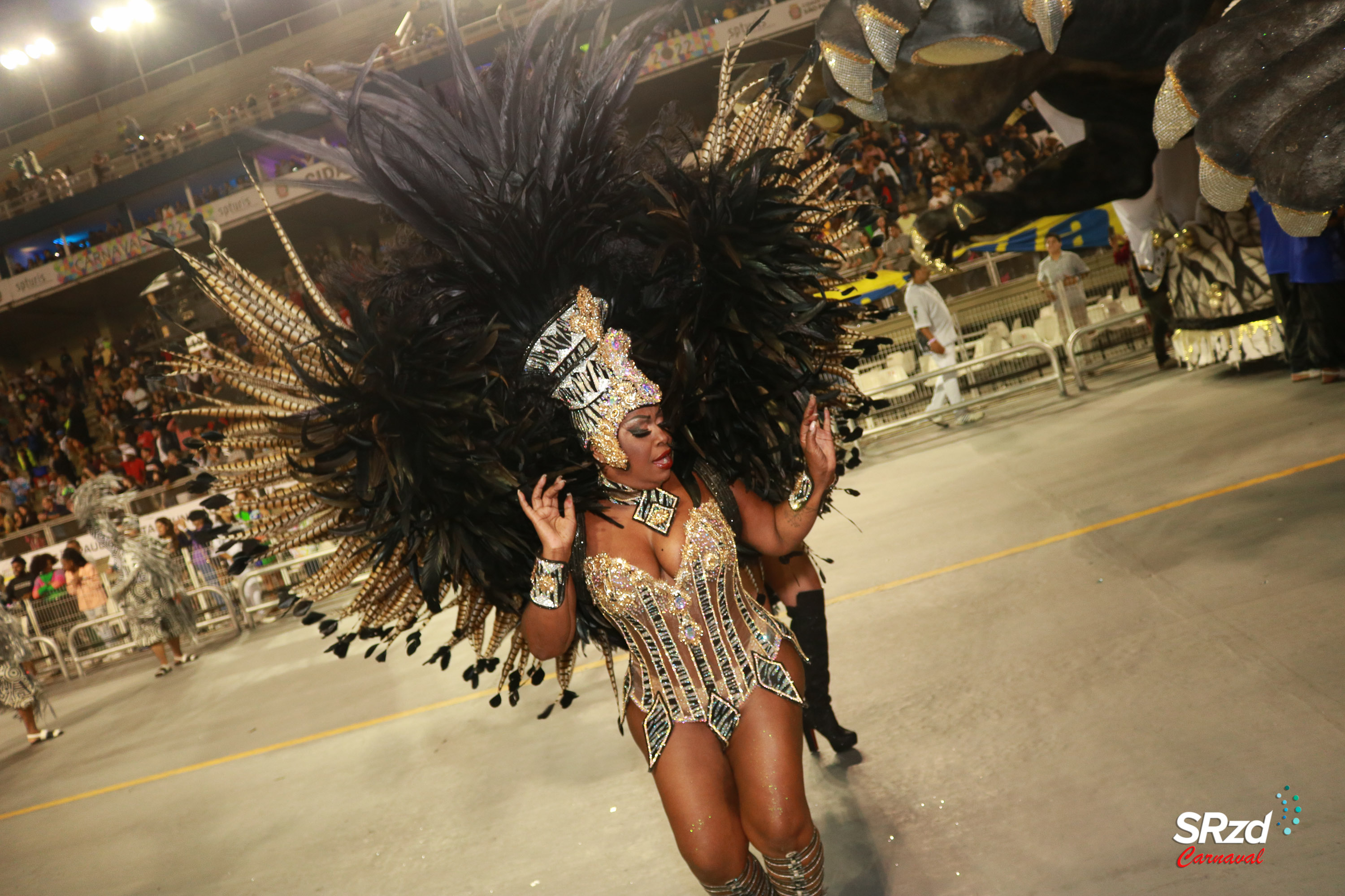 Desfile 2022 da Acadêmicos Do Tatuapé. Foto: Cesar R. Santos/SRzd