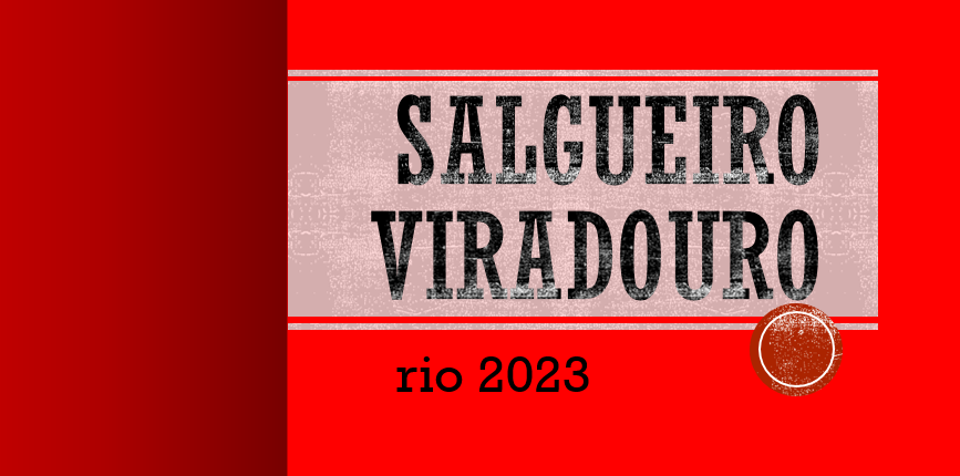 Série enredos, parte 3: Em 2023, Salgueiro e Viradouro iguais apenas na cor e por J30