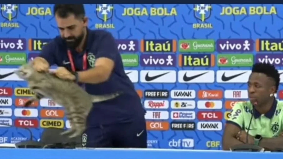 Gato invade mesa da coletiva de Vinícius Júnior no Catar; assista