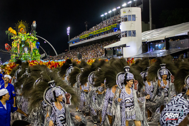 Desvendando o quesito evolução do Carnaval de São Paulo, por Judson Sales