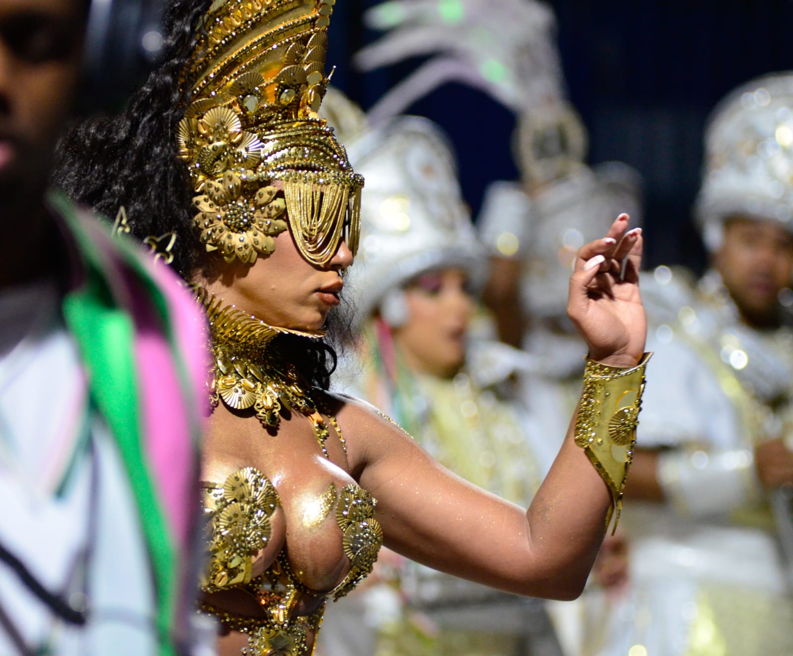PESQUISÃO SRzd: Veja quais são as maiores torcidas do Carnaval do Rio