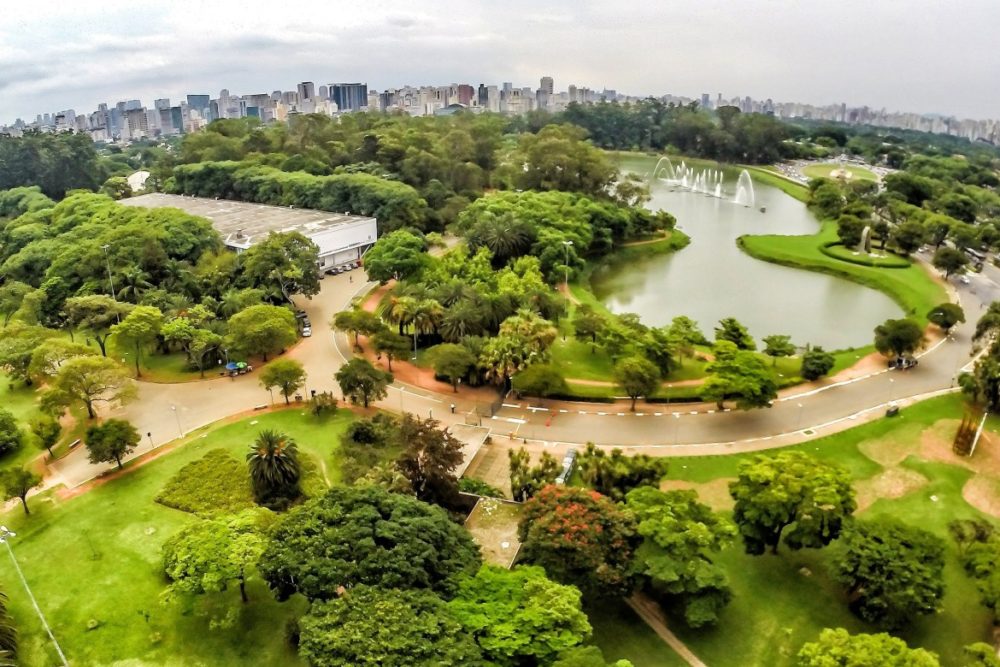 Rosas de Ouro escolhe Parque Ibirapuera como enredo e volta a exaltar SP após vinte anos