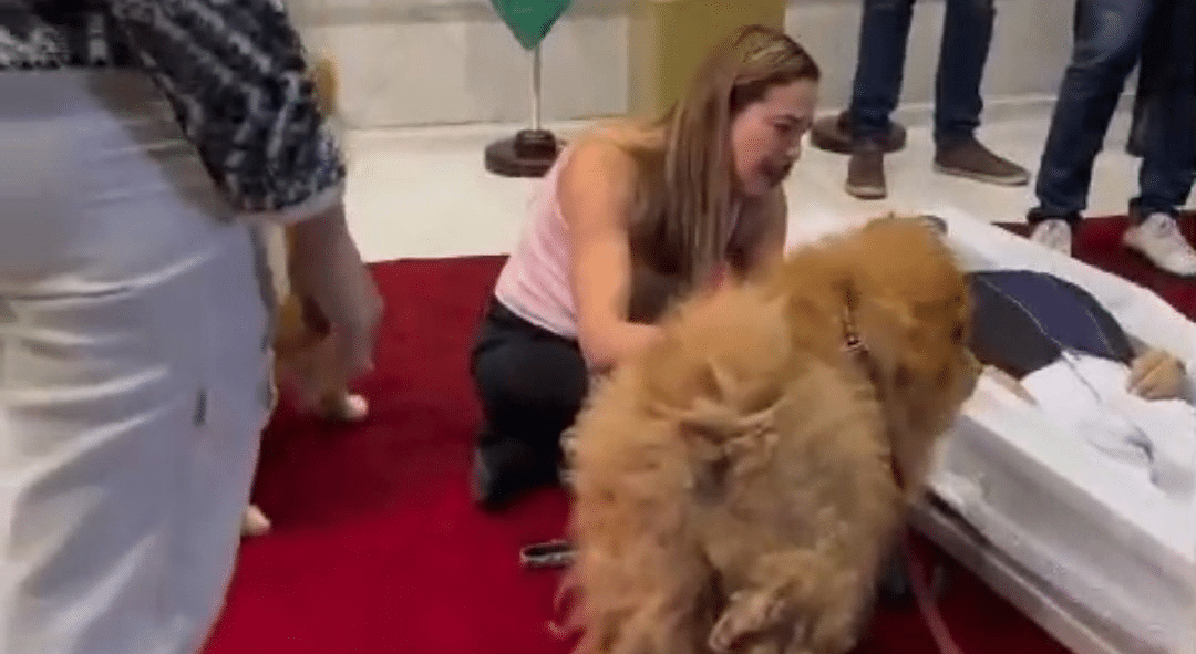 Velório de Nahim comove com caixão no chão e cães de estimação no último adeus