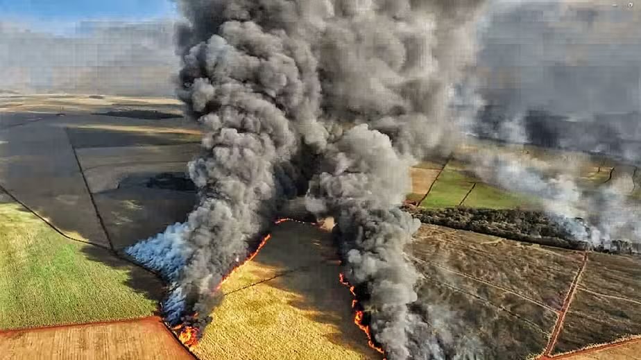 Aulas suspensas, usina evacuada e engavetamento: incêndios causam caos no interior de SP