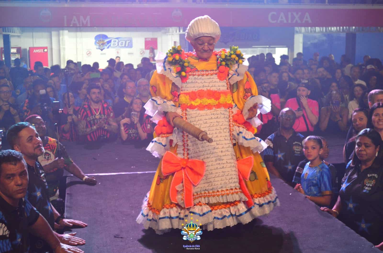 Fantasias para o Carnaval 2025. Foto: Divulgação/Império de Casa Verde