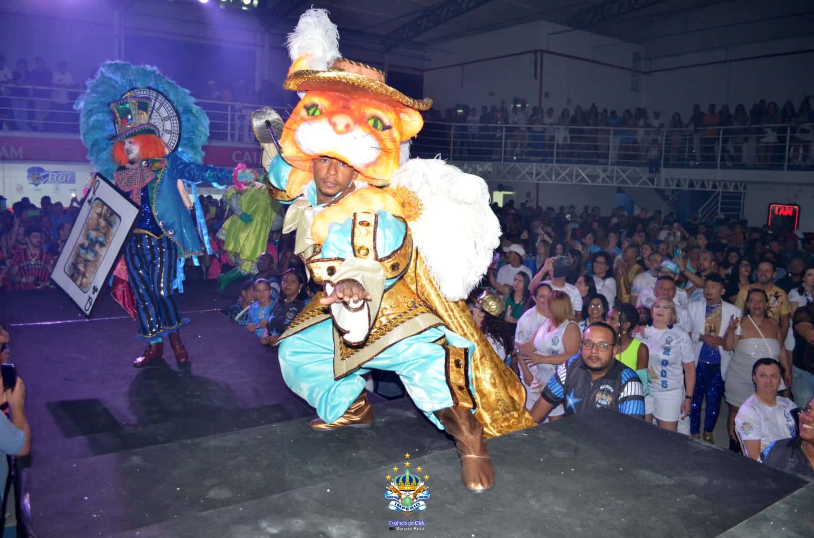 Fantasias para o Carnaval 2025. Foto: Divulgação/Império de Casa Verde