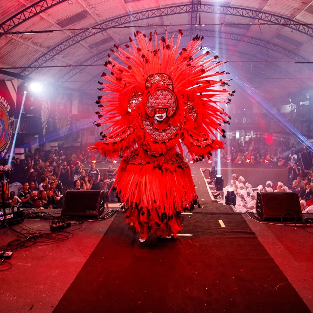 Fantasia da Gaviões da Fiel para o Carnaval de 2025. Foto: Sergio Cruz Fotografia