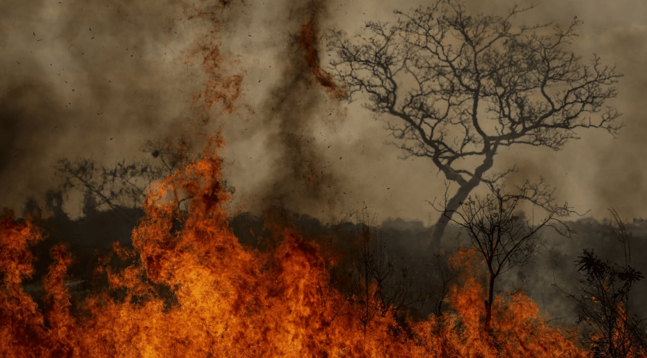 Um país sufocado: redemoinhos de fumaça, poeira e chuva preta; veja a previsão