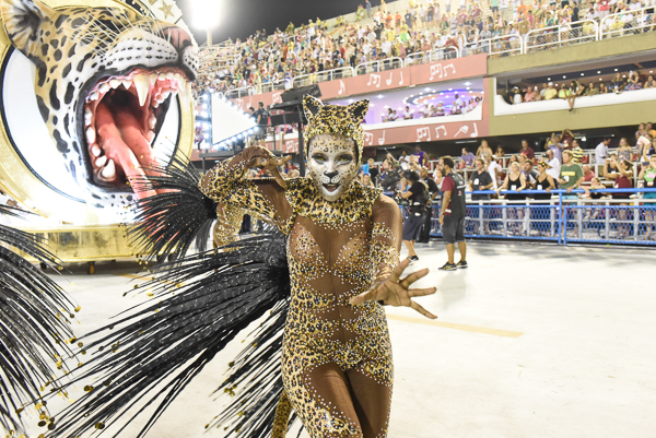 Estação Primeira de Mangueira: veja a letra e ouça o samba-enredo do  carnaval 2018, Carnaval 2018 no Rio de Janeiro