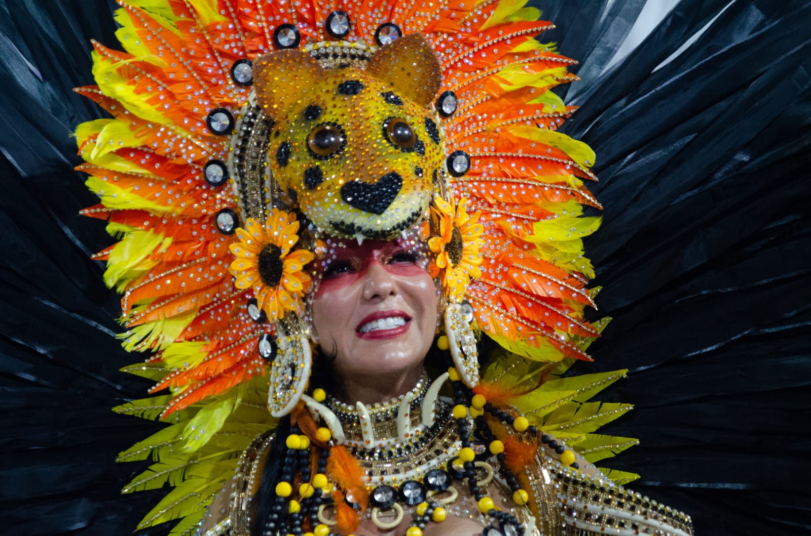Rio 2024 Veja como ficou a ordem de desfiles do Carnaval da Série Ouro