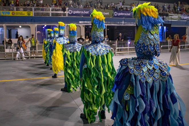 Cool work on top of costume.  Carnaval, Carnaval brasil, Viviane